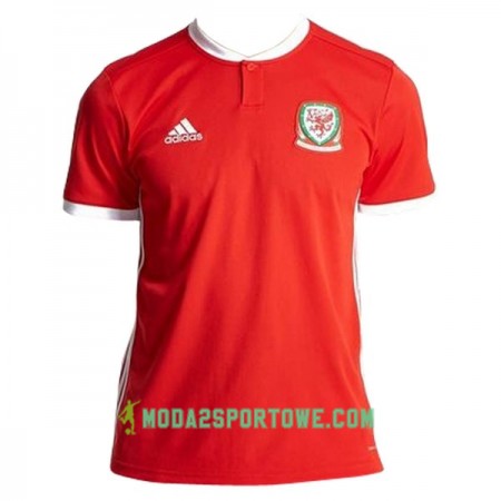 Koszulka Walia Domowe Stroje Piłkarskie 2018